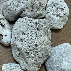 Decorative Tank Rocks - Large Gray Pitted Porous Stones Fish Lizard