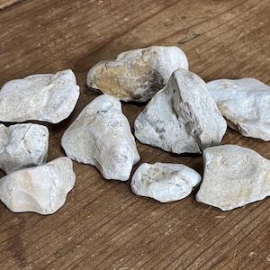 Decorative Natural Stone for Tanks- White Chert Set w Fossils