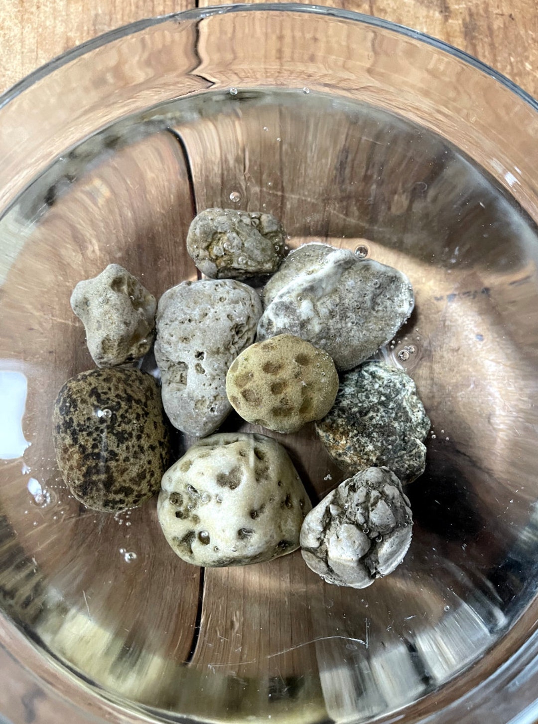 Natural Ohio Rocks for Decorating- Funky Porous Pitted Mismatched ...
