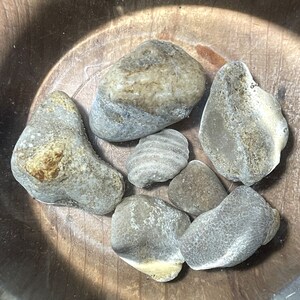 Neat Mix of Natural Crystalized Sea Coral Fossils - Aquarium Terrarium Decor