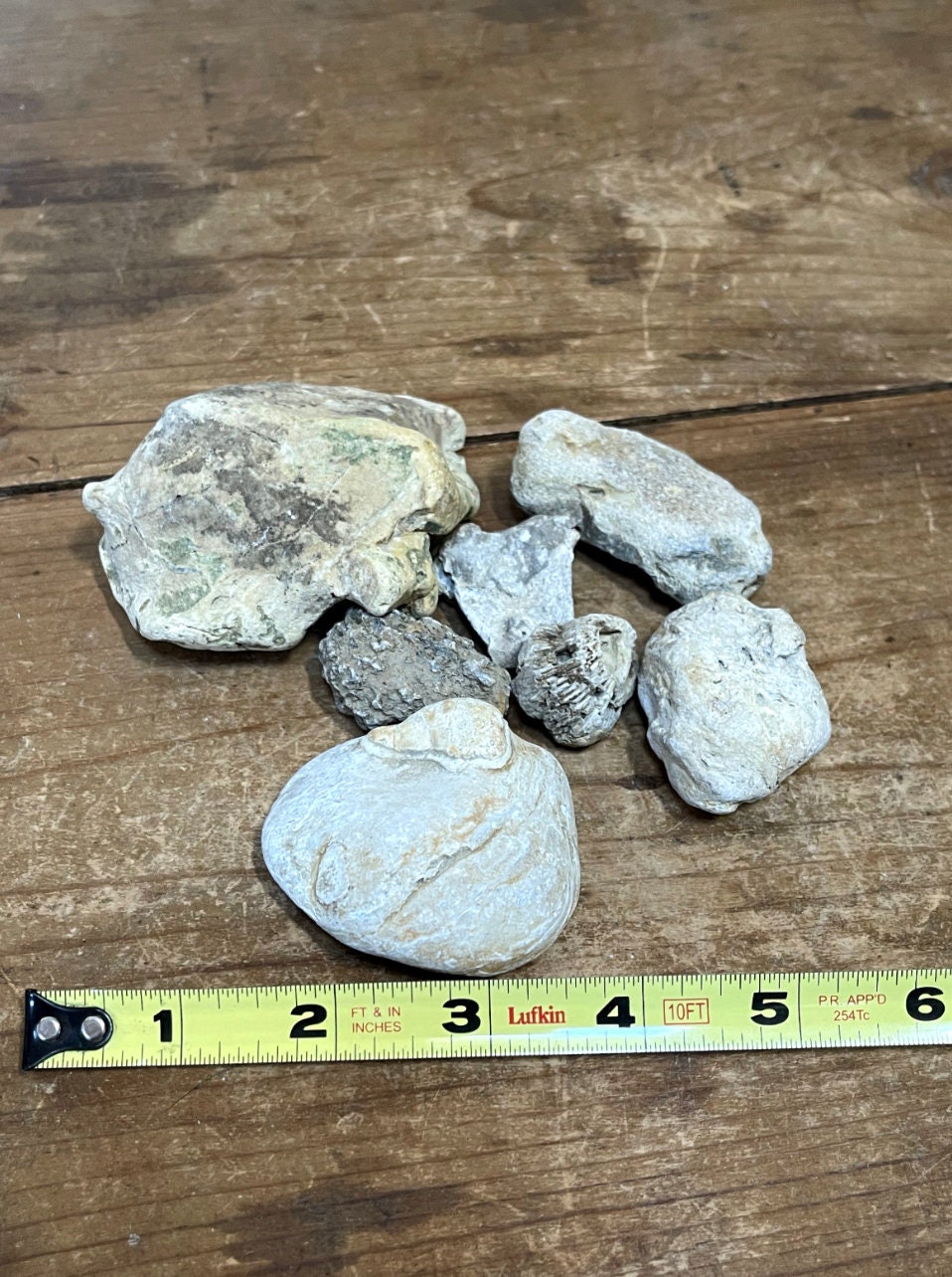 Lot of Natural Ohio River Rocks for Tank Decorating Gnarly - Etsy