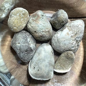 Natural Ohio Rocks For Decorating- Light Gray River Stones with Unique Features