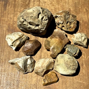 以下が含まれることがあります： 灰色、茶色、白の滑らかな石が10個集まったものです。石は様々な形と大きさで、自然でざらざらした質感です。