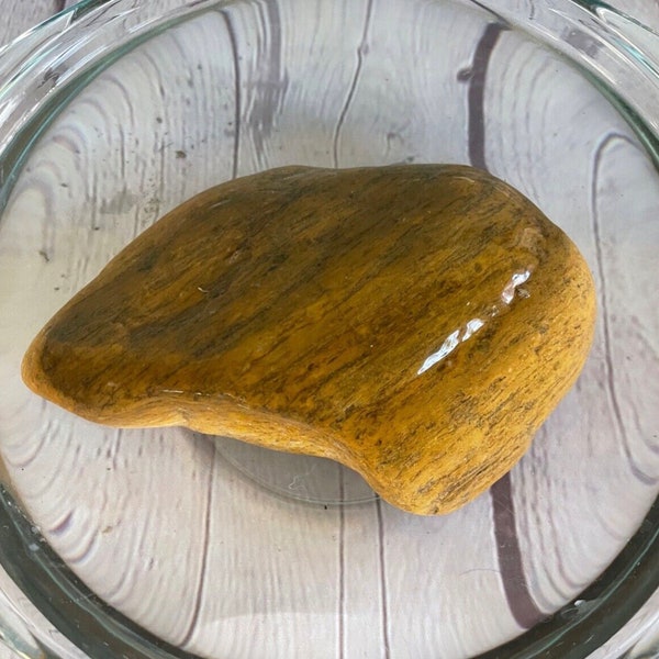 Large Aquarium Rock Etsy