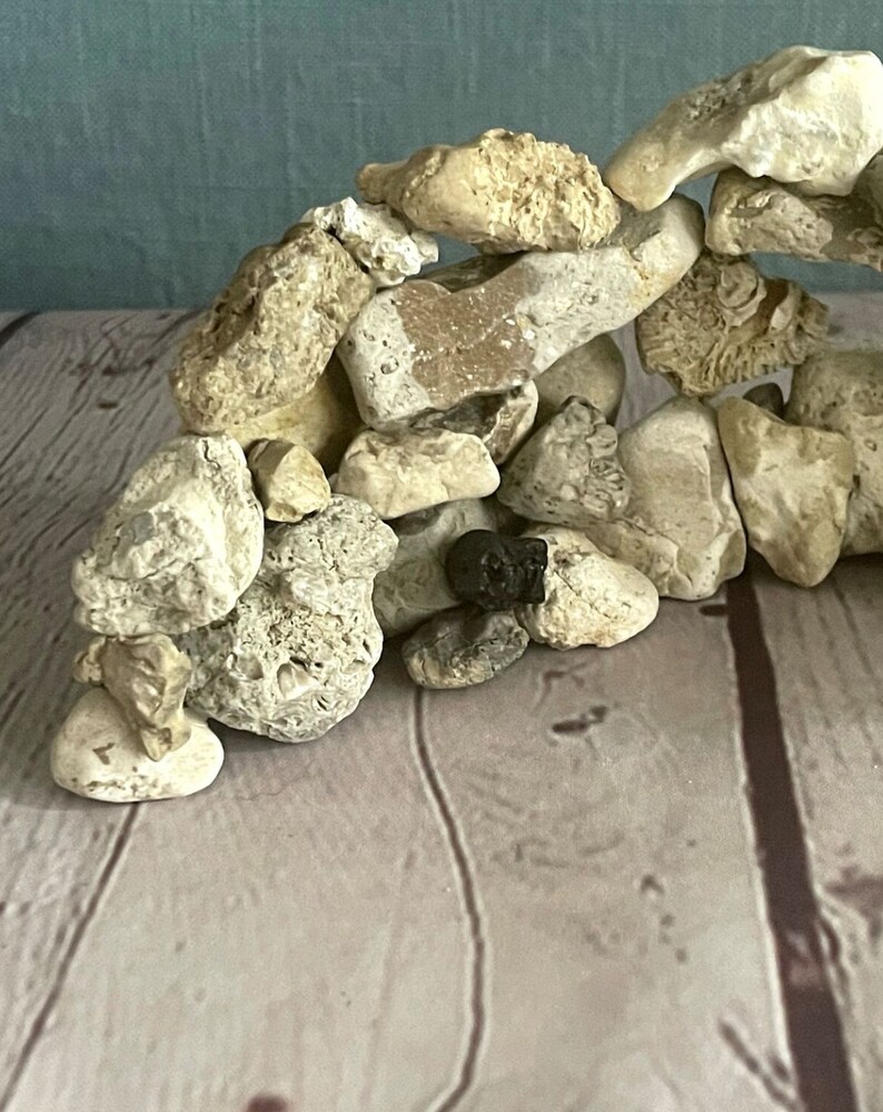 Handmade Natural Rock Aquarium Decoration Hideout Cave With Fossils Etsy