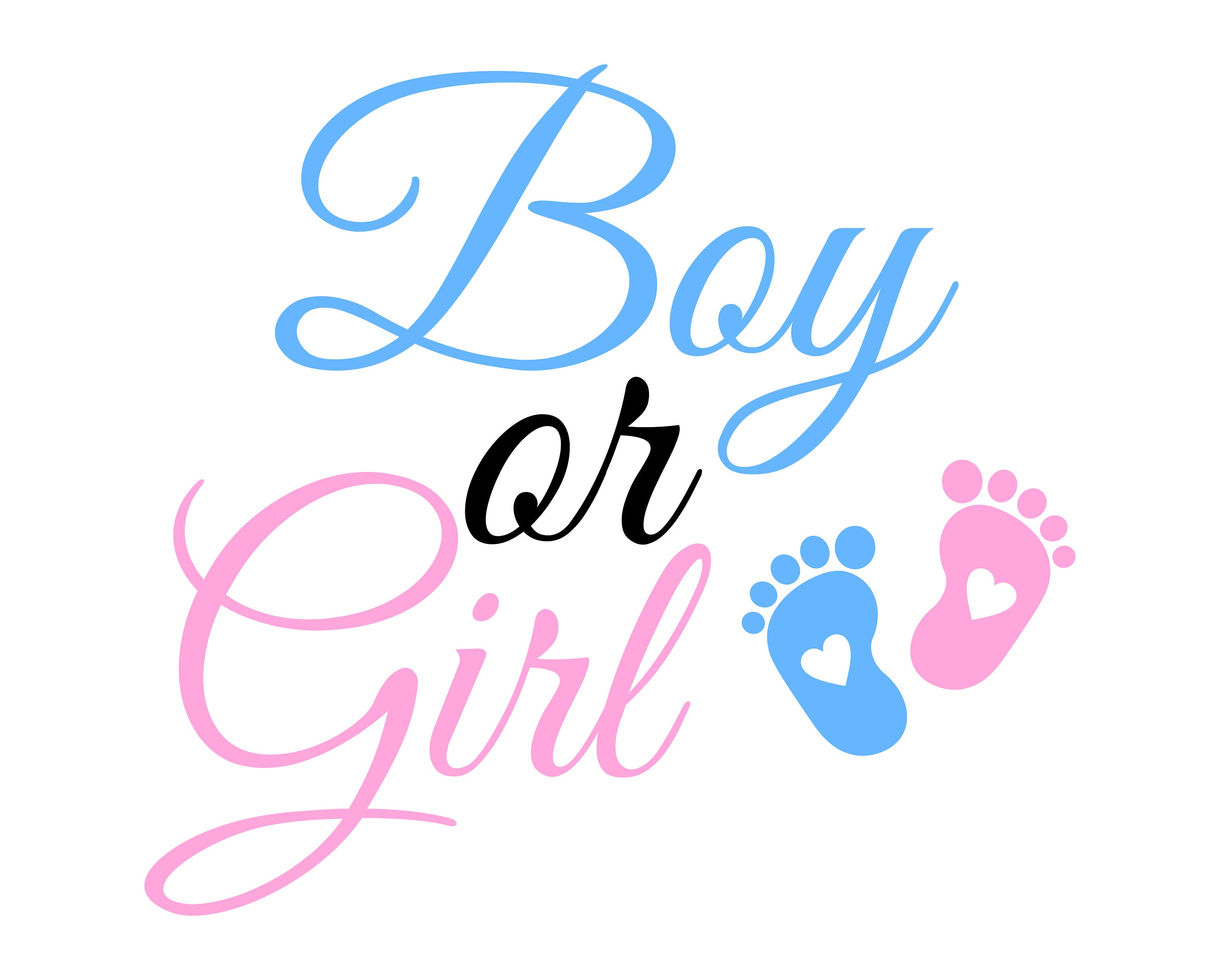 Boy or Girl SVG Gender Reveal Png girl or Boy Clipart Baby Reveal