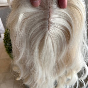 Weiß blondes Haar Topper, Schmetterling Pony