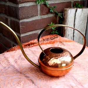 Kaktus giekanne - Etsy.de