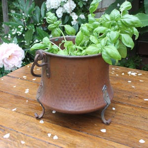 May include: A round, hammered copper pot with a wide opening and a dark, weathered finish. The pot features three curved metal legs attached with rivets and a single side handle. Fresh green basil leaves are planted inside the copper vessel.