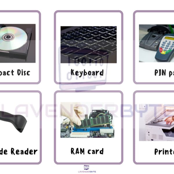 KS3 Gcse Basic Computer Parts x30 Flash Cards Printable Hardware WJEC ocr Teaching Resources Primary Alevel ICT Input Output Devices PDF
