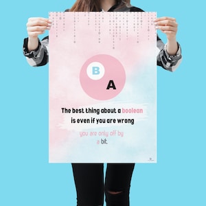 Könnte beinhalten: Ein rosa und blaues Poster mit dem Text "The best thing about a boolean is even if you are wrong you are only off by a bit." Das Poster zeigt auch einen rosa Kreis mit den Buchstaben "B" und "A" darin.