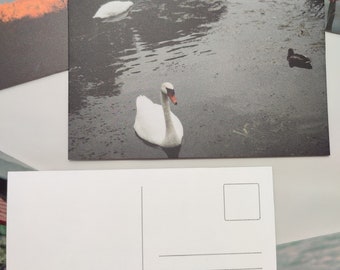 Postcards with printed photos | Netherlands (Marken), Tuscany and Lake Garda