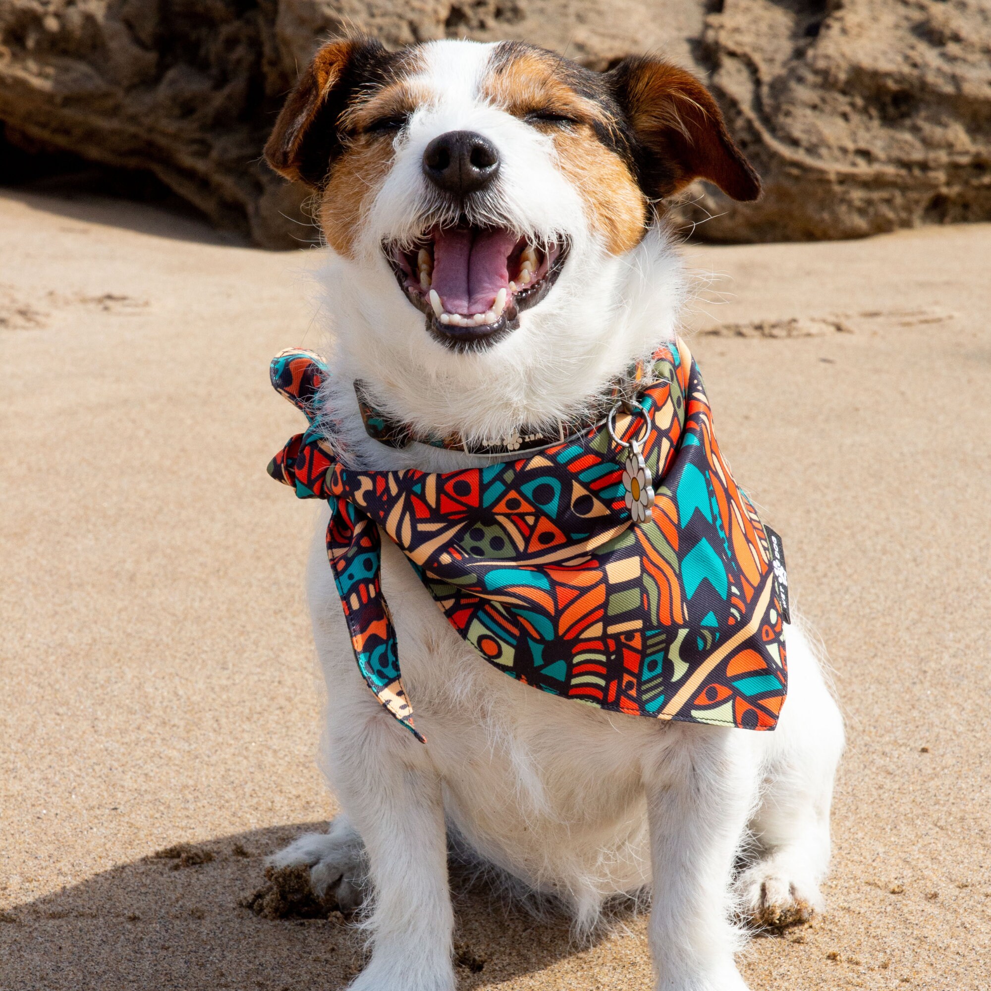 How To Make A Cooling Bandana For Dogs