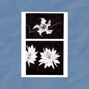 fleurs blanches sur la carte postale noire | Impression foncée A6 | Créations à l'encre
