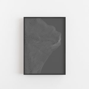 Topography Map Art, Gray Black And White Inverted Wall Art, Minimalist Large Abstract Print, Digital Printable Wall Art