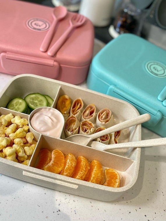 The Best Bento Lunch Boxes for Kids - Happy Kids Kitchen by