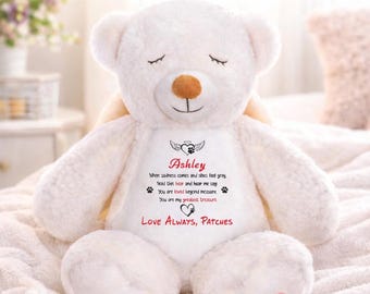 Pet Loss Memorial Bear, Personalized Dog or Cat Loss Gift, Rainbow Bridge Keepsake, Custom Sympathy Plush