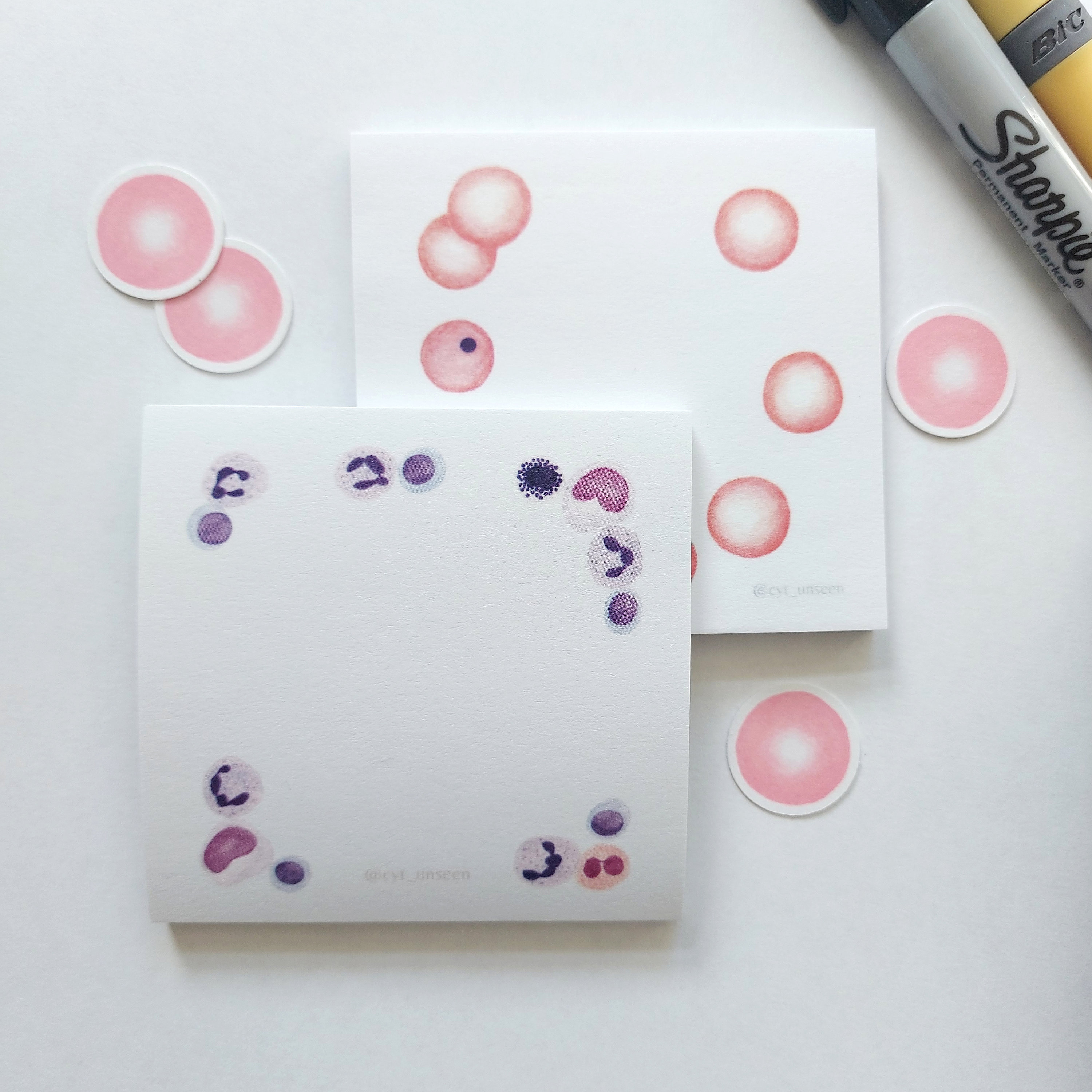 Red Blood Cell Art Post-it Notes, Biology Sticky Notes - Etsy
