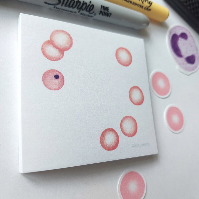 Red Blood Cell Art Post-it Notes, Biology Sticky Notes - Etsy
