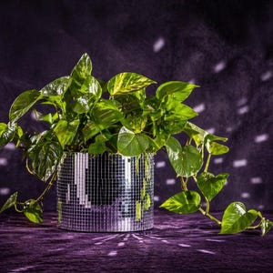 Maceta de hormigón con forma de bola de discoteca – Atrapasol de mosaico de espejo