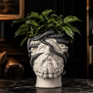 May include: A white sculptural planter shaped like a classical male head with a beard, adorned with dark metallic, segmented, snake-like coils wrapping around the forehead and eyes, containing a lush green leafy plant with pointed foliage.