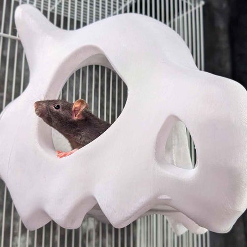 Skull Rat Hideout, Gothic Rat Cage House, Spooky Pet Bed