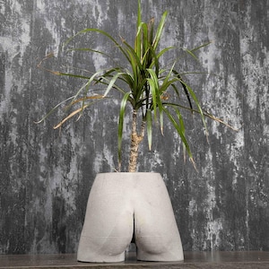 Unique Gift for Her | Funny Bum Body Planter | Quirky Anniversary Gift | Concrete Plant Pot & Vase | Housewarming Gift | Ripleys Nest