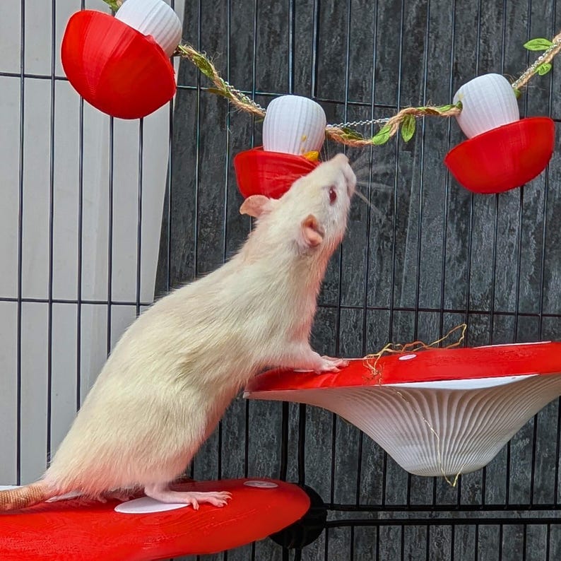 Pilzfutterbecher, hängender Ratten Leckerli Futterspender Bild 5