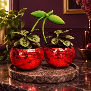 Cherry Planter, Red Mirror Ball Double Plant Pot, Wall-Mounted Disco Decor