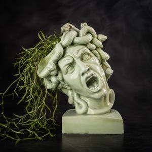 May include: A light green Medusa head planter with green plants. The sculpture features a detailed face with an open mouth and snakes for hair. The planter sits on a square base against a dark background.