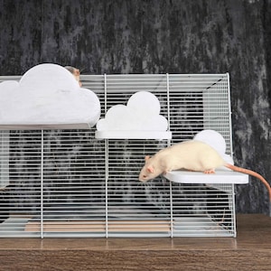 Cloud Rat Shelves & Hideaway Set | Small Animal Cage Furniture | PLA Pet Accessories | Climbing Platforms | Ripley&#39;s Nest Original