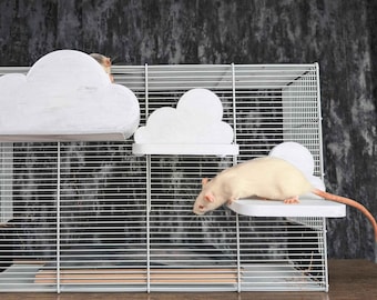 Pet Mouse Petco Mice Cages Petmice Icon Pet Stores That Sell Mice