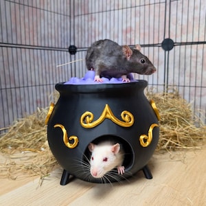 Op de afbeelding: Een zwart, ketelvormig dierenhuis met gouden accenten en een paars interieur, met twee ratten. Eén donkergrijze rat zit bovenop, de andere witte rat kijkt uit de opening. De achtergrond toont een kooi en hooi.