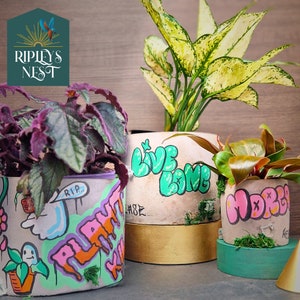 Superb Personalised Graffiti Plant Pot Perfect Gift Desk Accessory Utensil Holder Cast Concrete Plant Pot Custom Design image 9