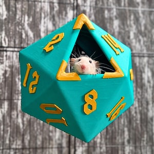 Fantasy Rat Cage Accessories, D20 Dice Hide, Dragon Skull, Shelf Set