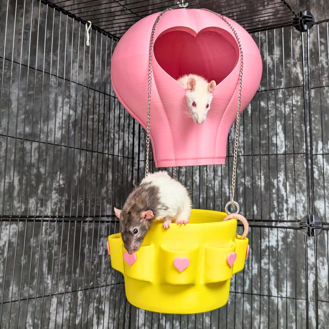 Hot Air Balloon Rat Hammock, Hanging Cage Hideaway, Unique Pet Toy - Etsy