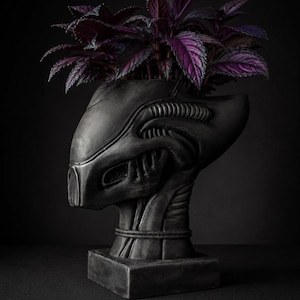 May include: A dark grey alien-head planter, with a square base, filled with a purple plant. The planter is sculpted with detailed features. The plant's leaves are a deep purple with green hues, creating a striking contrast against the dark grey of the planter.