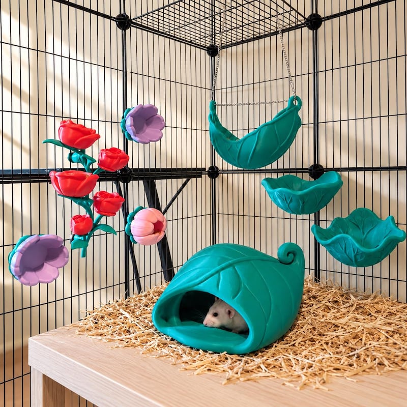 Rodent Foreger Rat Cage Forage - Etsy - Page 4