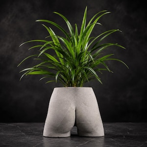 Grappige billenplanter | Gegoten stenen bloempot | Eigenzinnige bureauvaas