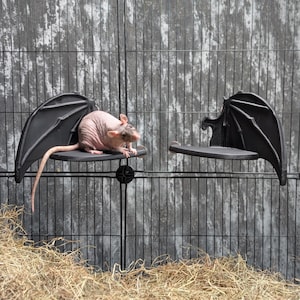May include: A hairless rat sits on a black bat-shaped platform in a cage. The platform is attached to the side of the cage. There is another bat-shaped platform on the other side of the cage.