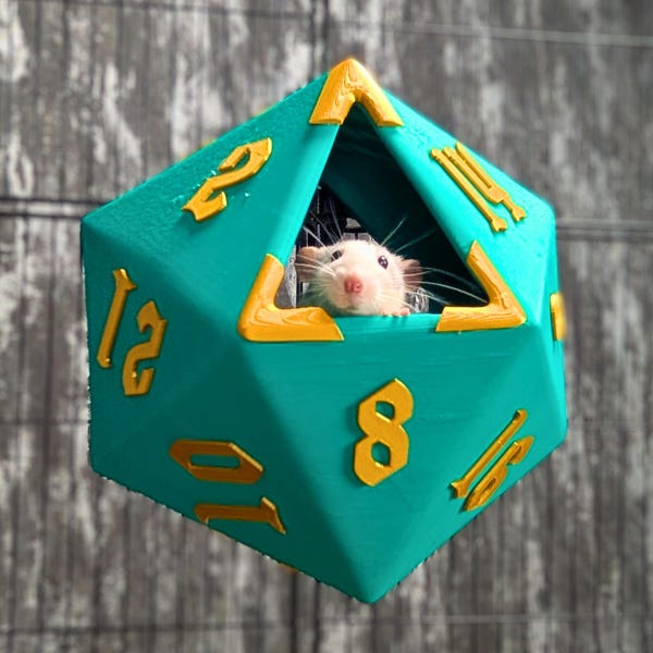 D20 Dice Rat Hide | handmade Small Animal Cave