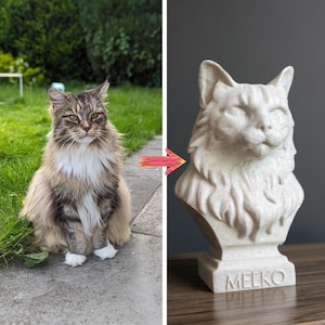 Customer cat photo shown beside a personalised marble-effect cat bust keepsake