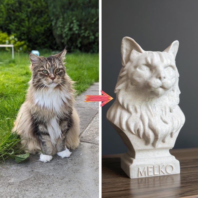 Customer cat photo shown beside a personalised marble-effect cat bust keepsake