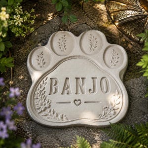 Pode incluir: Uma pedra em forma de pata cinza-clara com o nome BANJO gravado no centro. O design inclui quatro almofadas ovais com gravuras de folhas, um pequeno símbolo de coração abaixo do nome e detalhes de vinhas florais nas laterais inferiores.