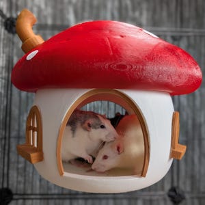 May include: Two rats, one white and one grey, are inside a red and white mushroom-shaped house. The house has a small window and a brown door.