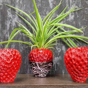 Könnte beinhalten: Drei rote erdbeerförmige Pflanztöpfe mit einer grünen Grünlilie im mittleren Topf. Die Töpfe sind aus Keramik und haben eine strukturierte Oberfläche.
