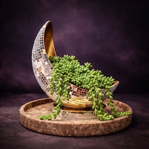 Crescent Moon Mirror Plant Pot, Silver Disco Planter