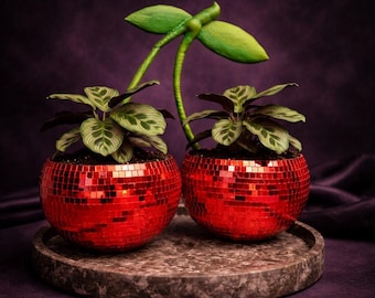 Puede incluir: Dos macetas redondas cubiertas con pequeños azulejos de espejo rojos reflectantes, con forma de par de cerezas. Cada maceta contiene una pequeña planta verde con hojas estampadas. Una estructura de tallo verde conecta ambas macetas arriba.