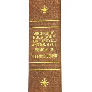 Antique R. Louis Stevenson Virginibus Puerisque Dr. Jekyll Memoir Fleeming Jenkin 1902