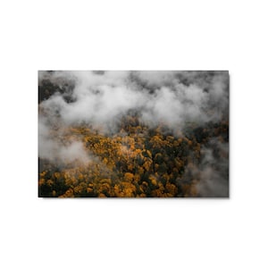 Misty Fall Colors of Washington State: Large Metal Print